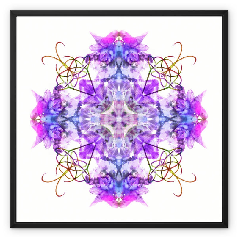 Cave Capriolique Framed Canvas