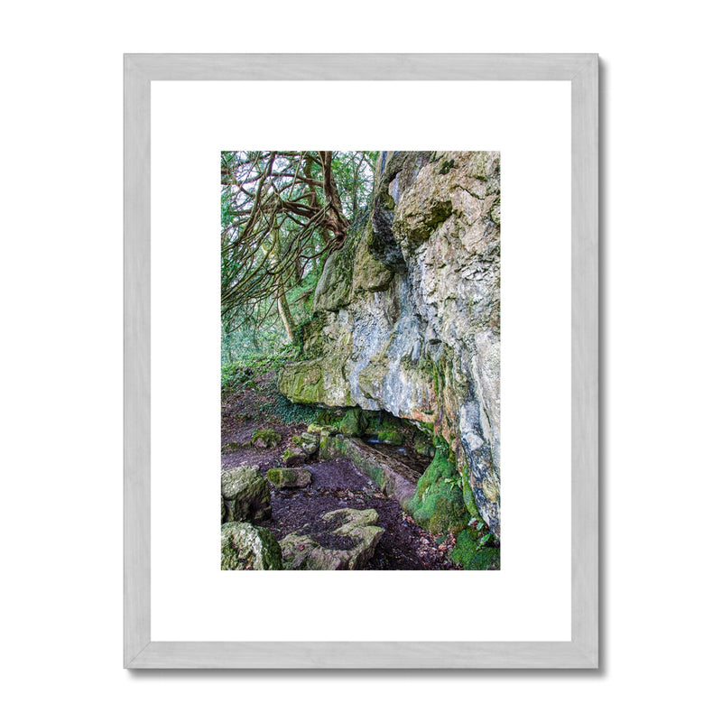 Yew guardian Antique Framed & Mounted Print