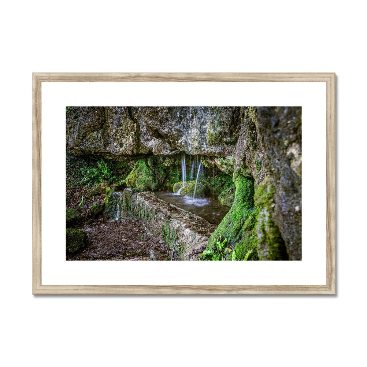 Woodwell basin Framed & Mounted Print