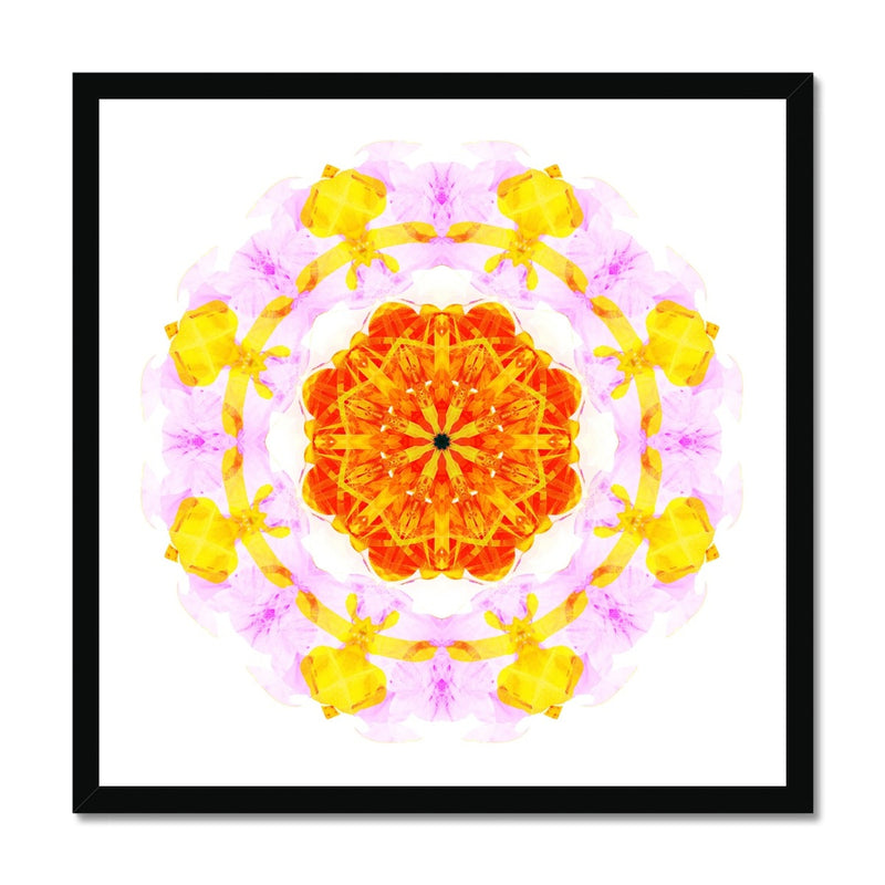 Creativity Mandala Budget Framed Poster