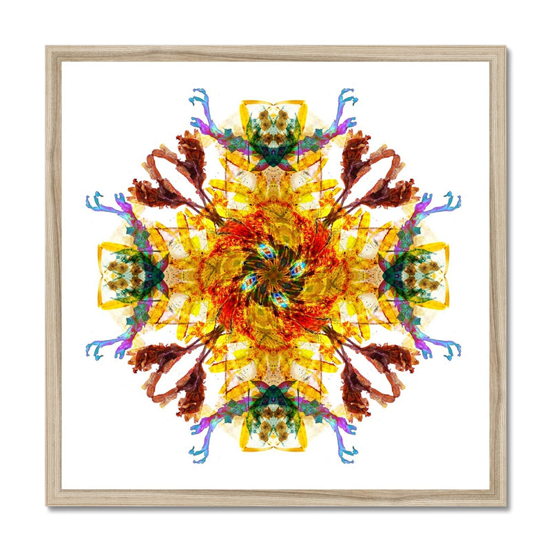 Ancient Wisdom Mandala Budget Framed Poster
