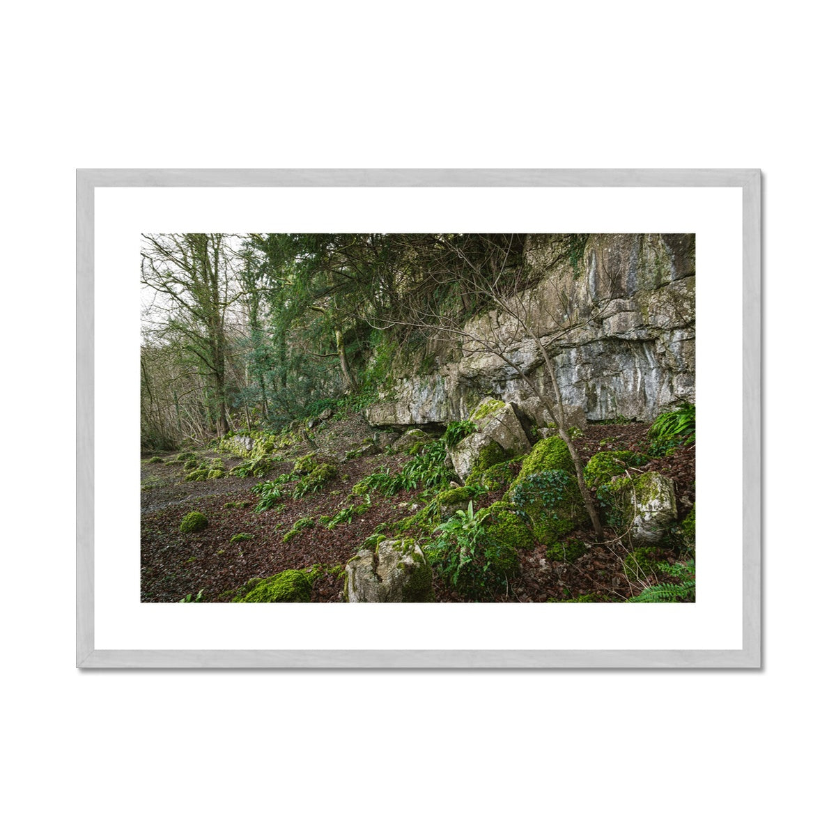 Woodwell Secrets Antique Framed & Mounted Print