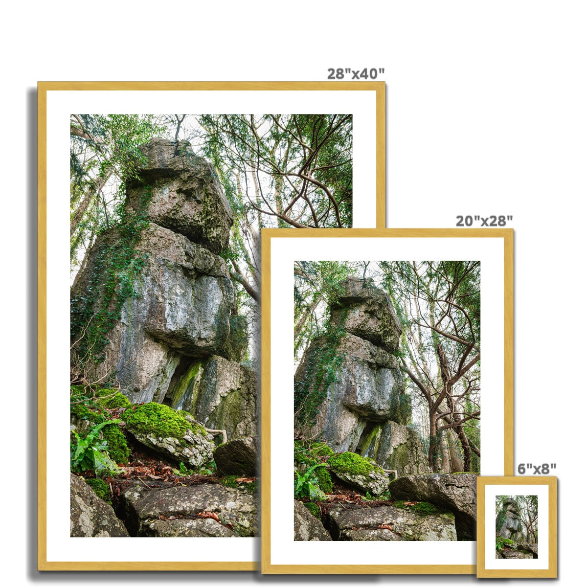 Rock Guardian Antique Framed & Mounted Print