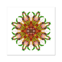 Bounty Mandala Fine Art Print