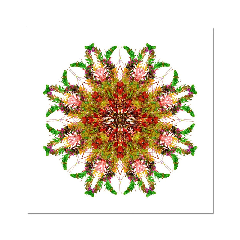 Bounty Mandala Fine Art Print