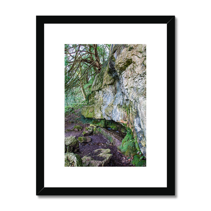 Yew guardian Framed & Mounted Print