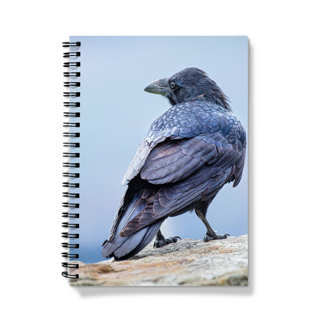 The Raven of Ireland Notebook